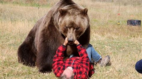 Tips to Survive a Bear Attack Video - ABC News