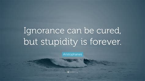 Aristophanes Quote: “Ignorance can be cured, but stupidity is forever.”