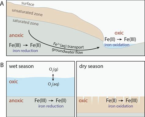 Organic Oxidation Examples