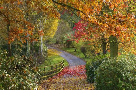 Seasons - Bodenham Arboretum