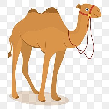 Top 186+ Camel cartoon outline - Tariquerahman.net