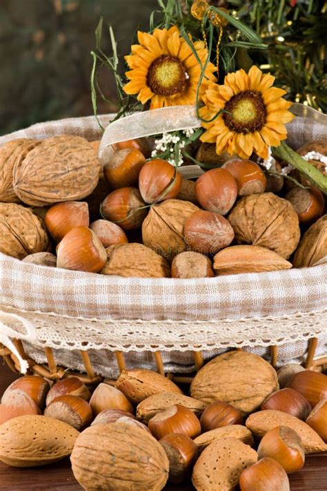 Nuts and dried figs stock photo. Image of lunch, tree - 22375362