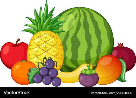 Set of mixed fruit Royalty Free Vector Image - VectorStock