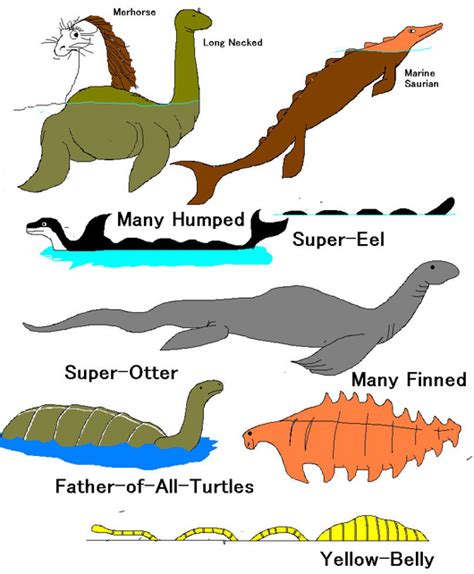 Hook Island Sea Monster Explained - Kiukkuinen