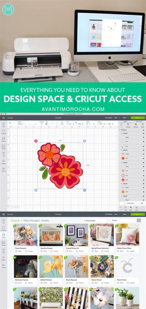 Cricut Design Space & Cricut Access – Avanti Morocha