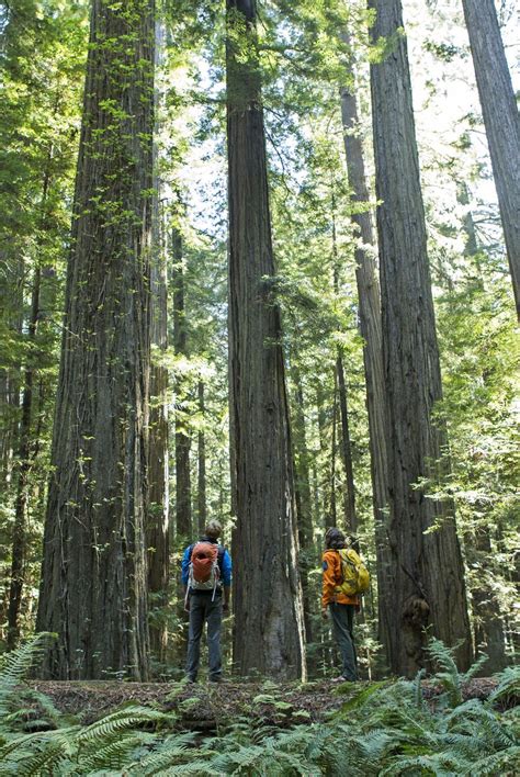 These Are the Most Epic Hiking Trails in Every State | Hiking trails ...