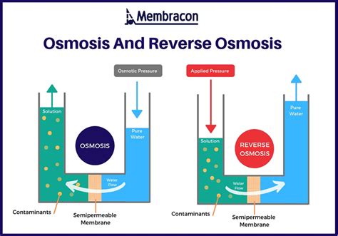 Reverse Osmosis