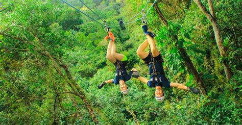 Outdoor Zipline Adventure | GetYourGuide