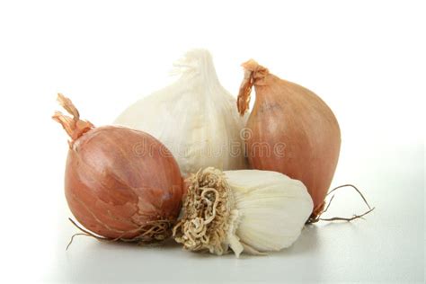 Garlic and onion stock photo. Image of cooking, isolated - 10105074