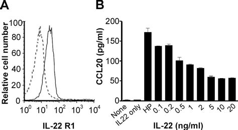 Human IL-22 R alpha 1 Antibody AF2770: R&D Systems