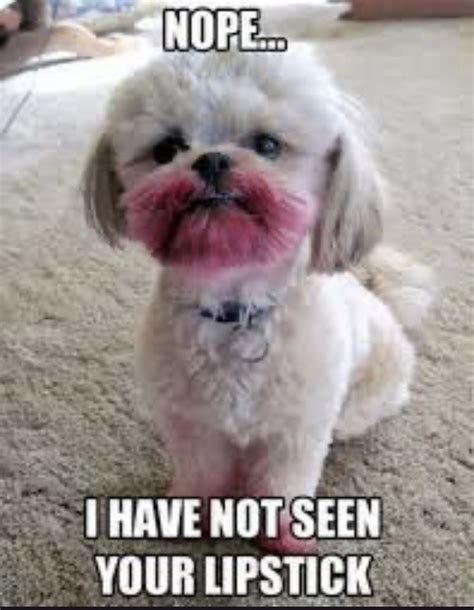 The best Lipstick memes :) Memedroid