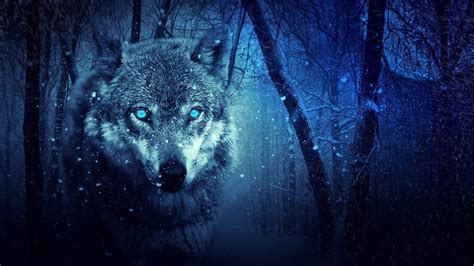 Wolf Sounds in the Forest - The Relaxation Lounge | Shazam