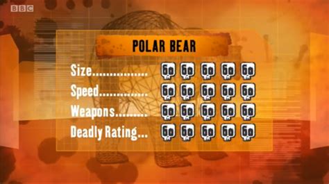 Polar Bear | Deadly 60 Wiki | Fandom