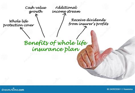 Benefits of Whole Life Insurance Plan Stock Illustration - Illustration ...