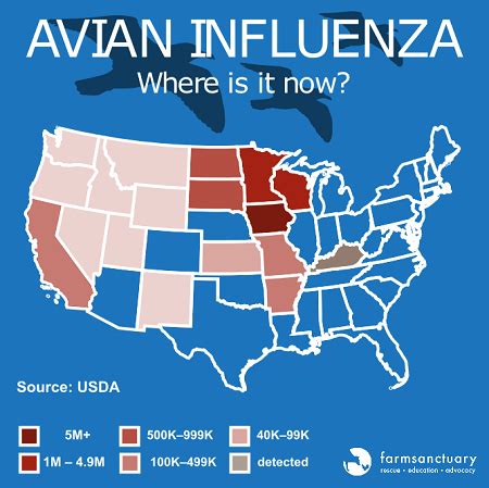 What You Need to Know About Avian Flu | Saving Earth | Encyclopedia ...