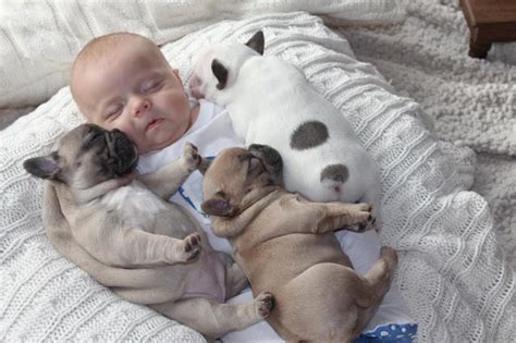 Kids baby pictures: cute baby sleeping with puppies