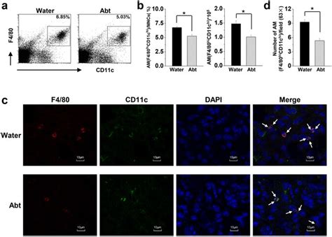 CD11c Antibody (14-0114-82)