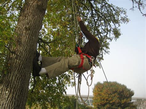 Living on a Finite Planet: Tree Climbing