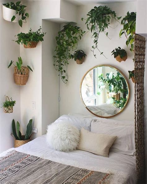 FIND: Amazing Indoor Hanging Plants For Bedroom Ideas And Smart Tips