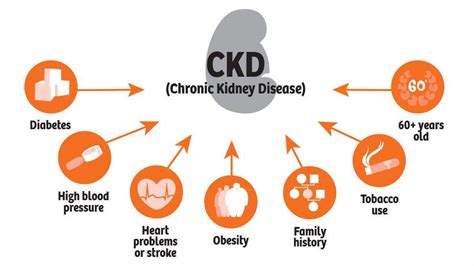 Chronic Kidney Disease: A Global Crisis