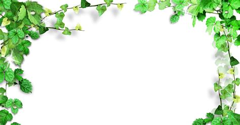 34+ Vector Green Border Png