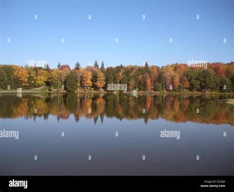 Fall foliage in Pennsylvania Stock Photo - Alamy