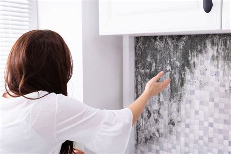 How To Remove Mold From Walls - Reviews And Buyer's Guide