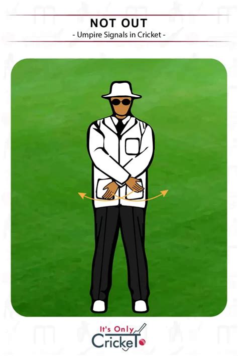 Cricket Umpire Signals: What They Mean Illustrated with Images