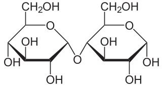 Maltose - Alchetron, The Free Social Encyclopedia