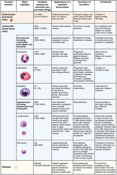 Unit 3: Blood – Douglas College Human Anatomy & Physiology II (4th ed.)