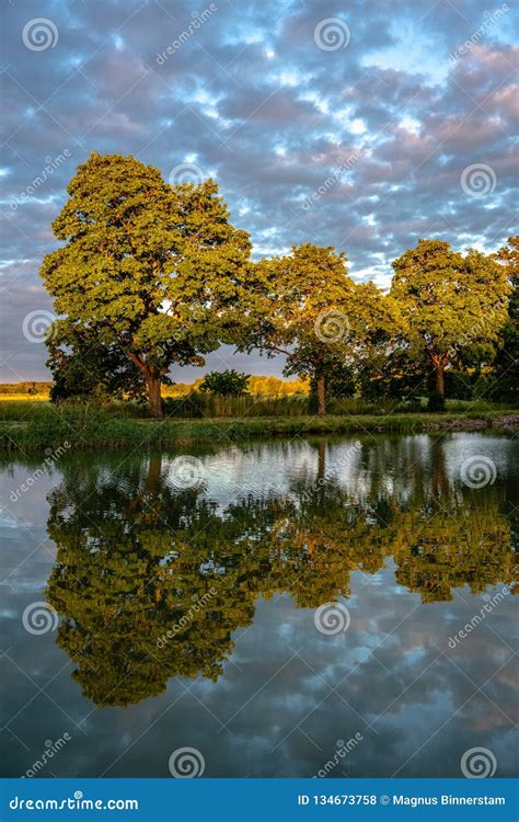 Trees by the Riverbank of Gota Canal Stock Photo - Image of clouds, sweden: 134673758