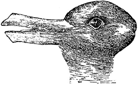 Jastrow (1899), Duck-Rabbit Illusion, to visualize the interplay of law ...