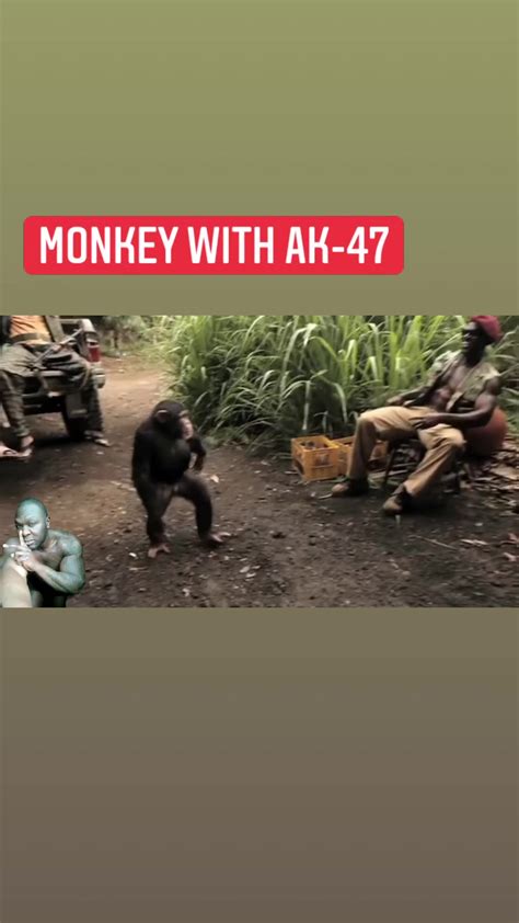 Monkey-AK_47 vs Soldiers . Make sure you FOLLOW. #repost #replay #reels #viral #funny #fun # ...