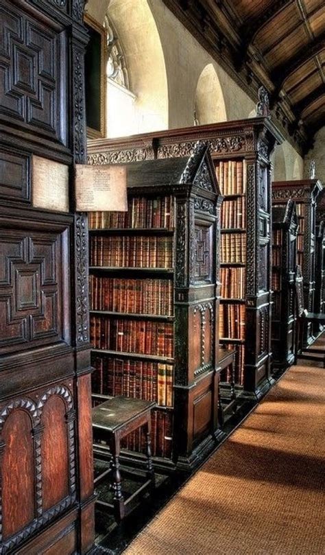 ♠️Gothic Book Library♠️ in 2019 | Old libraries, Dream library, Beautiful library