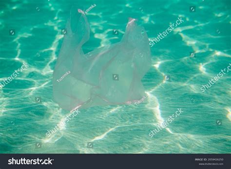 Ocean Pollution Plastic Bag Underwater Stock Photo 2059426250 | Shutterstock