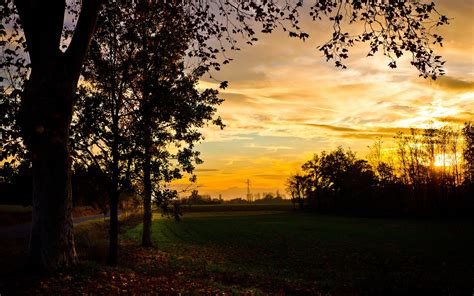 Autumn, field, trees, evening, sunset, beautiful scenery wallpaper ...