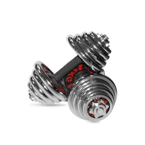 Shop York Chrome Dumbbells Set - 30 Kg | Jumia Egypt