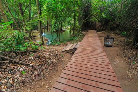 Wooden Walkway bridge — Stock Photo © Deerphoto #93161728