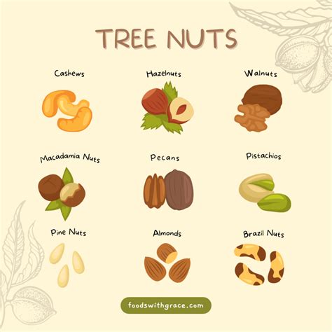 Brazil Nuts vs Macadamia Nuts – Nutrition Comparison [RD2B] - Foods with Grace