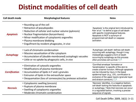 PPT - Mechanisms of Cell Death PowerPoint Presentation, free download - ID:3411070