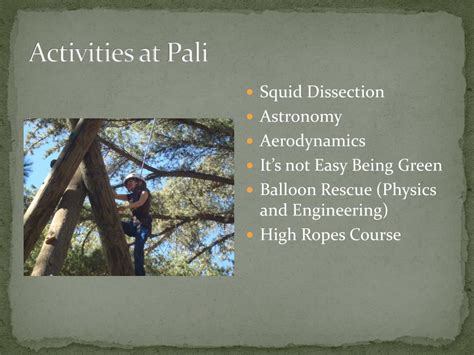 PPT - Pali Institute PowerPoint Presentation, free download - ID:6317678