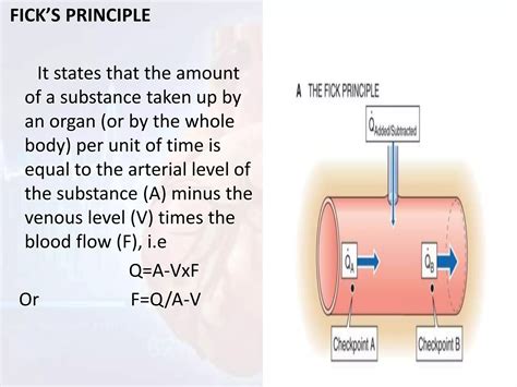 MEASUREMENT OF CARDIAC OUTPUT | PPT