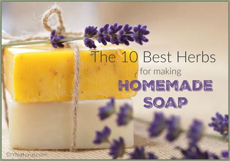 Homemade Soap: The Best Herbs To Use in Your Recipes