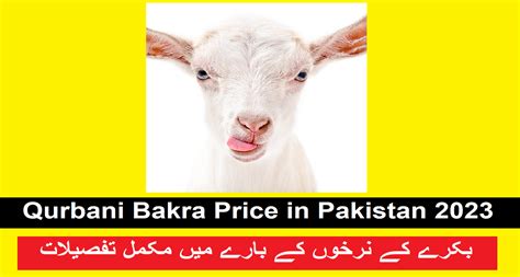 [Goat] Qurbani Bakra Price in Pakistan 2023: New Rates