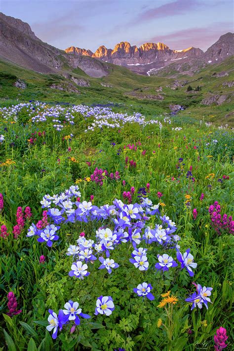 Colorado Sunrise - American Basin Photograph by Aaron Spong