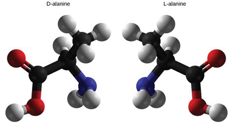 2.21: Carbon - Organic Enantiomers - Biology LibreTexts