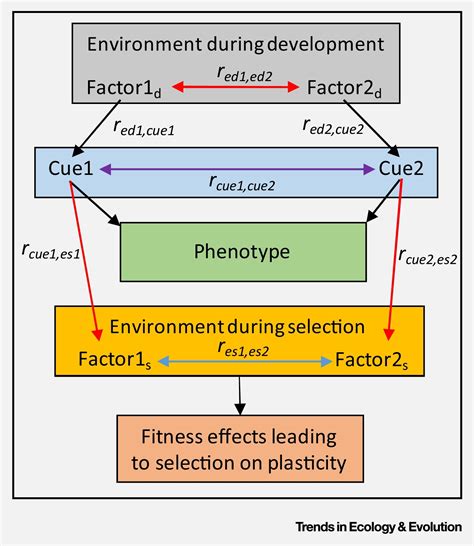 Causes and Consequences of Phenotypic Plasticity in Complex Environments: Trends in Ecology ...