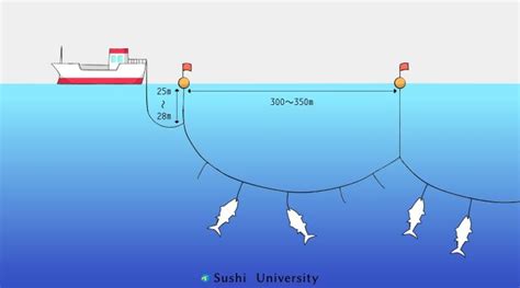 We will explain fishing methods which could affect the quality of ...