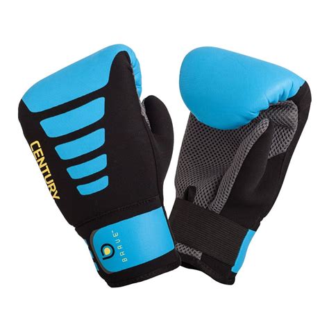 Heavy Bag Boxing Gloves | semashow.com