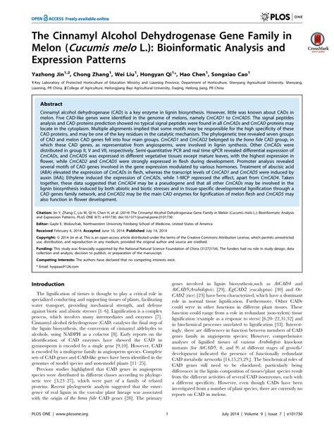 (PDF) The Cinnamyl Alcohol Dehydrogenase Gene Family in Melon (Cucumis melo L.): Bioinformatic ...